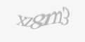 كود امني